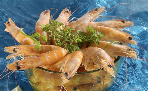 阿根廷红虾的做法,阿根廷红虾的特色,阿根廷红虾的营养价值,阿根廷红虾怎么做好吃_齐家网