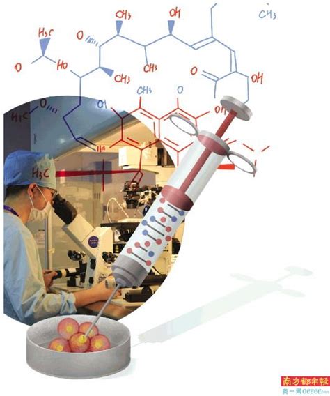我国第一例三代试管婴20岁了-南方都市报·奥一网