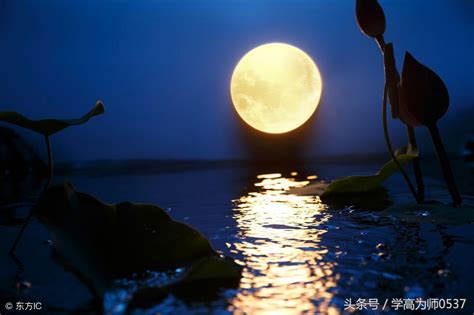 一样的月亮，不一样的心境，苏轼诗词中的月亮