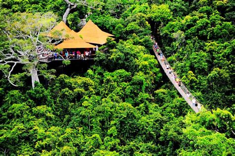 探访三亚亚龙湾热带天堂森林公园_旅游频道_凤凰网