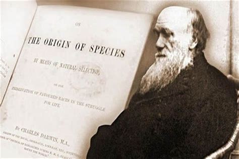 达尔文进化论基本观点 达尔文进化论有没有科学性-小狼观天下