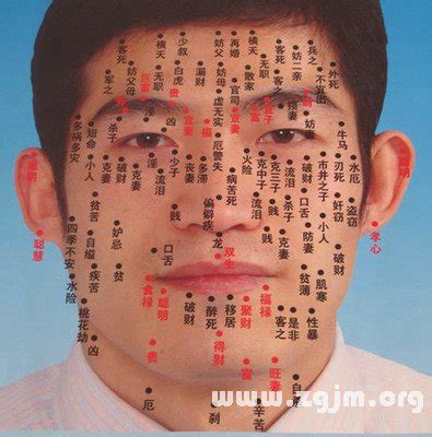 看面相大全图解图片