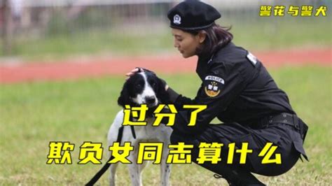 如何将如此优秀的警犬个体传承下去，提升繁育效率，缩短训练周期，是近年来摆在北京市公安局警犬基地面前的一项重要课题。
