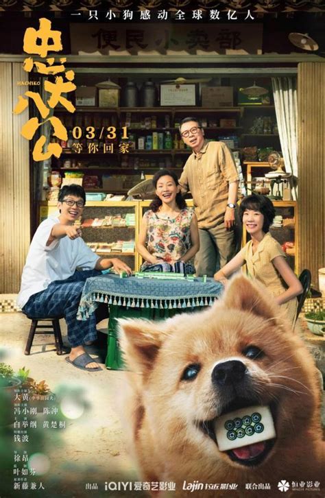 电影《忠犬八公》全国公映，白举纲与八筒诠释温情感动_中国网