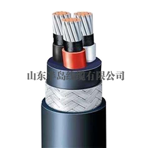 黑龙江控制电缆DJYRVP价格_控制电缆DJYRVP_天津市电缆总厂第一分厂