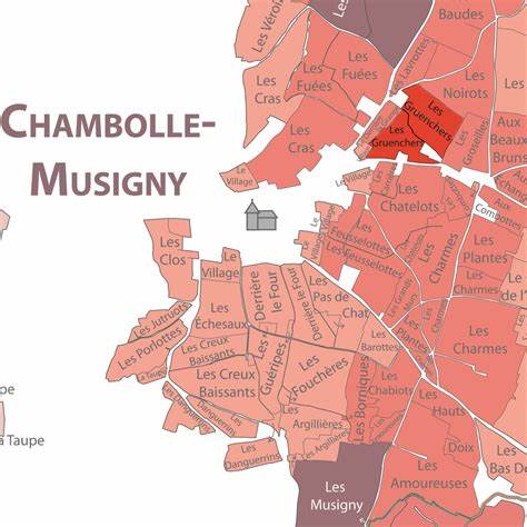 Chambolle-Musigny 1er Cru Les Gruenchers — Domaine Felettig