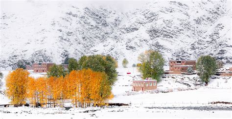 来丁真的家乡四川甘孜，体验覆盖着冰雪的雪域高原…………
