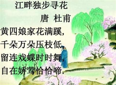 《江畔独步寻花》杜甫唐诗注释翻译赏析 | 古文典籍网