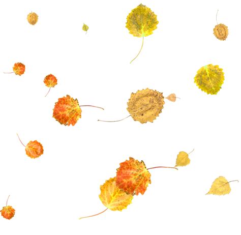 Colorful autumn backdrop of falling leaves 36468576 PNG