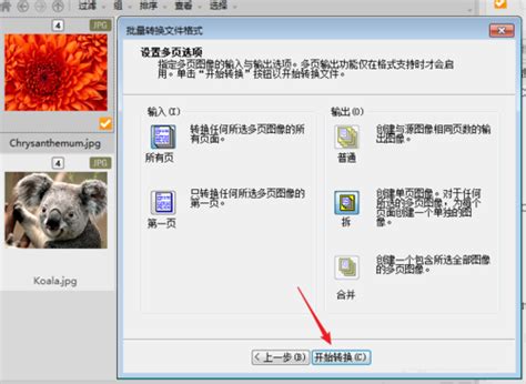 acdsee7软件下载-acdsee7 32位中文版 - 极光下载站