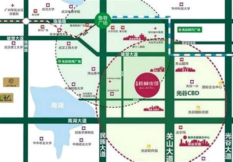 武汉光谷科学岛城市设计公开招标!预算金额高达1050万元！_东湖