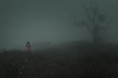 在迷雾中寻找夜的气氛 这5点知识助你拍大片_技法学院-蜂鸟网
