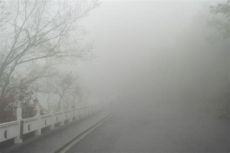 大雾来袭！四川这些高速全线关闭凤凰网川渝_凤凰网