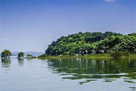中国十大淡水湖泊排名：鄱阳湖是我国最大的淡水湖，也是世界上七大重要湿地之一 - 十大排行 - 酷奇猫