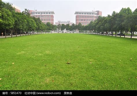 学校草坪草种草籽种植绿化养护管理服务项目-广东田野风