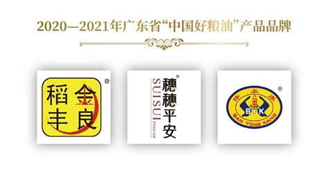 广东太阳神集团标志logo设计,品牌vi设计