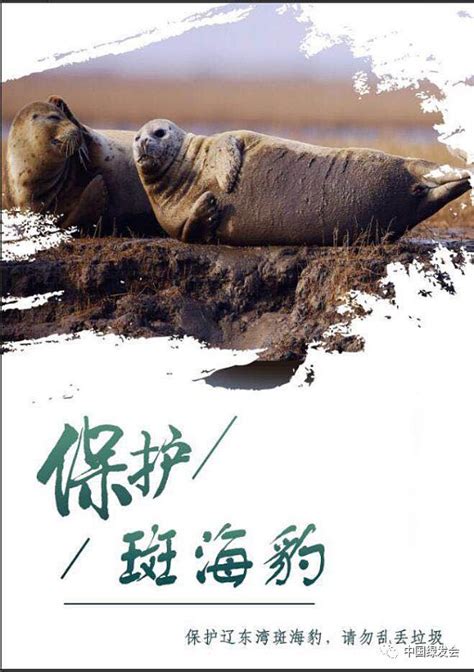 迎2019青海湖开湖：绿会志愿者周末捡拾垃圾，保护青藏高原生态环境-国际环保在线