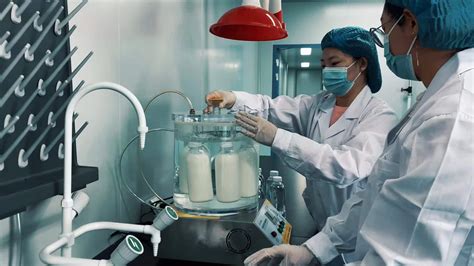 神驼动态_神驼乳业驼鲜奶、驼酸奶生产线试生产_阿拉善右旗神驼乳业
