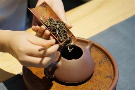 煮茶图图片