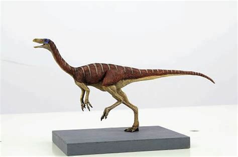 日本发现“跑得最快的恐龙”化石 - 化石网