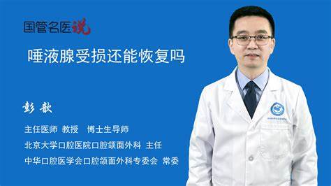 内存卡上的东西删除了还能恢复吗