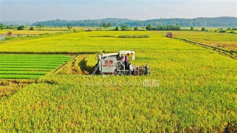 2022宜春明月山风景名胜区游玩攻略 - 天气 - 门票价格_旅泊网