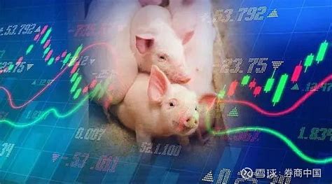 发改委：适时采取储备调节等措施 防范生猪价格过快上涨