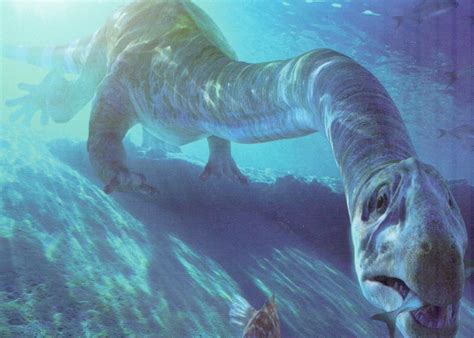 盘点十大海洋怪物 巨型乌贼长达18米_滚动新闻_科技时代_新浪网