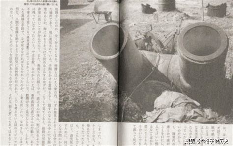 【原创日本最离奇的谜案，170男尸死于女厕所便池，案件至今未破|便池|直野尚|排污池|直野|村长|】_傻大方
