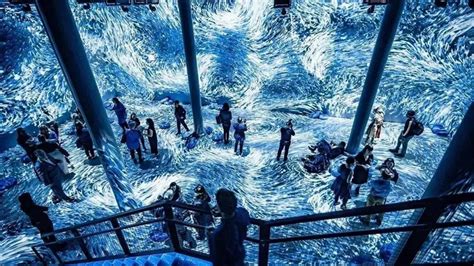 多媒体展厅高端互动体验—沉浸式空间_tuzan图赞科技