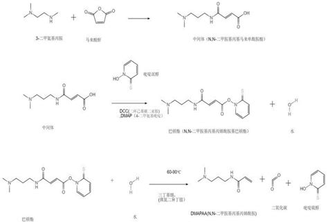 一种利用脱羧反应合成N,N-二甲胺基丙基丙烯酰胺的方法与流程