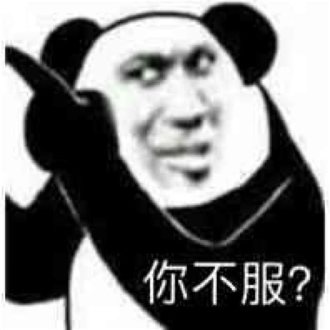 是表情包图片