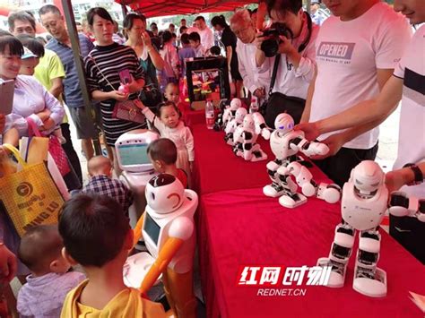 永州市首届人工智能机器人AI大会在零陵举行_零陵区_湖南频道_红网