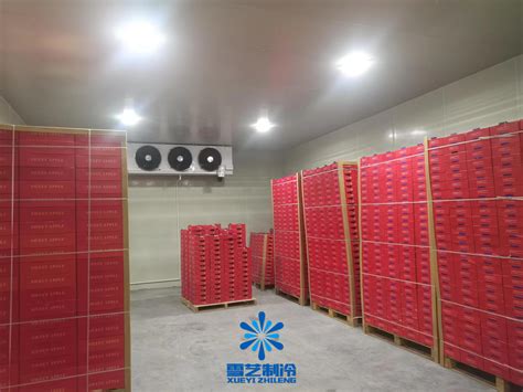 冷库安装后正确管理及使用冷库方法_上海雪艺制冷科技发展有限公司