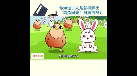 鸡兔同笼 动画_口艾口牙口马-站酷ZCOOL