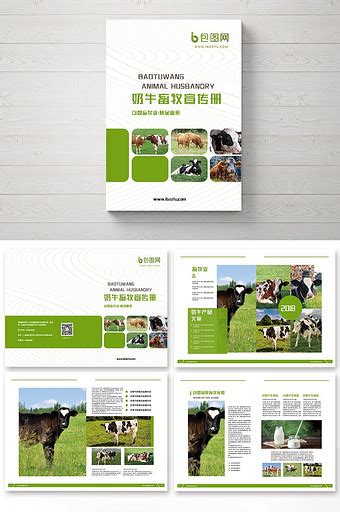 简约清新畜牧养殖业发展宣传PPT模板-PPT牛模板网