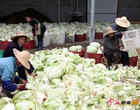 武汉白沙洲市场：蔬菜储备约三天 本地菜农加班抢收 外地供应商初二三恢复__财经头条