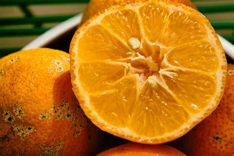 4 tipos de limão e suas características: confira