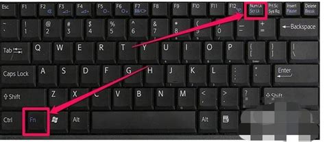电脑键盘打不了字按哪个键恢复，大部分fn+w(6种方法轻松解决) — 奇闻呀