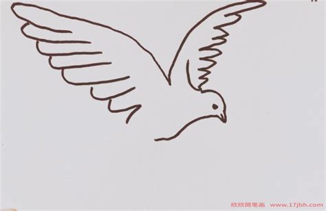 飞翔的和平鸽简笔画图片_和平鸽的画法步骤图手绘 - 巧巧简笔画