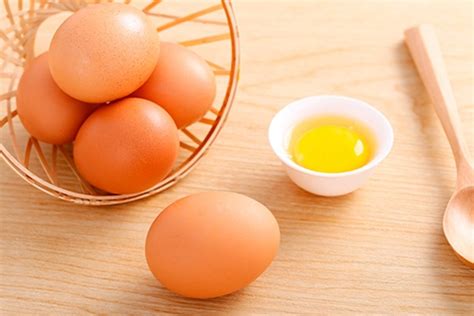 毛蛋吃了对身体好吗-毛蛋的功效与作用详细介绍-六六健康网
