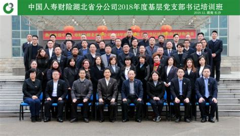 中国人寿财险湖北省分公司2018年度基层党支部书记培训班在我院开班 - 保险职业学院