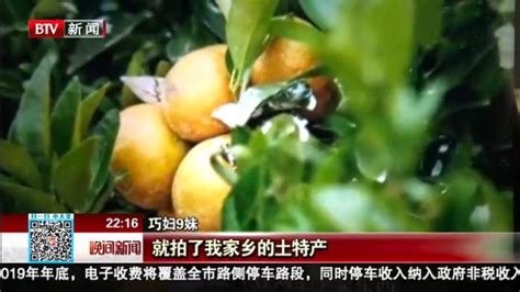 农村巧妇地里摘菠萝，做出各种美食，堪称第二个李子柒_凤凰网视频_凤凰网