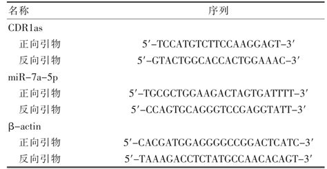 基因组注释（1）——串联重复序列注释 - 我的小破站