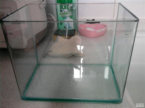 鱼缸胶水族箱专用强力防水透明玻璃密封胶补漏修补粘金鱼缸玻璃d6 - 三坑日记