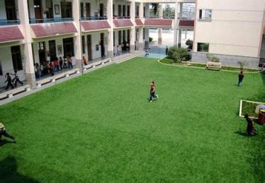 学校草坪的草是什么草 哪种草四季绿而且长得矮-长景园林网