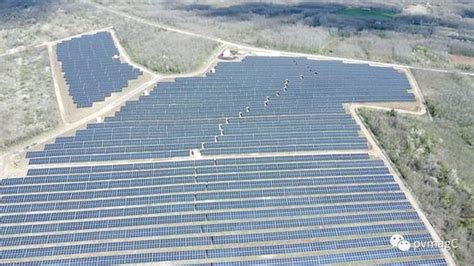 塞尔维亚最大的太阳能电站并网-国际新能源网