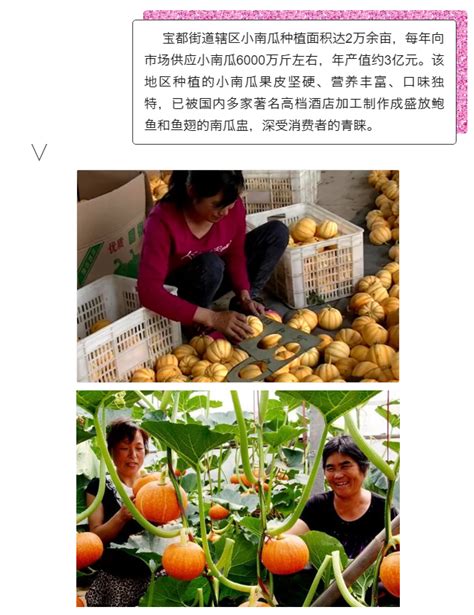 昌乐：农文旅融合带动农产品销售 优质蜜桃不愁卖|文旅_新浪新闻