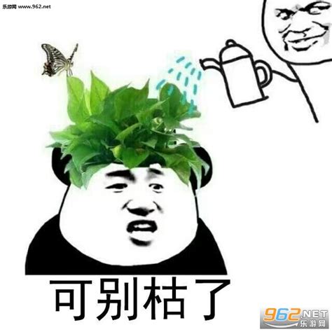 绿帽子表情包图片