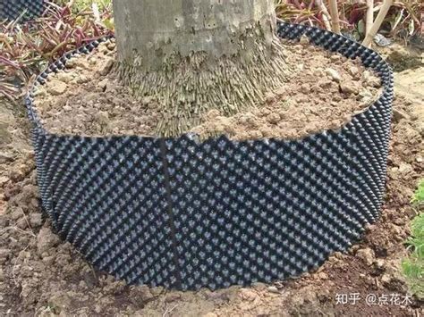苗木灌溉的方法 夏季苗木灌溉的注意事项-种植技术-中国花木网